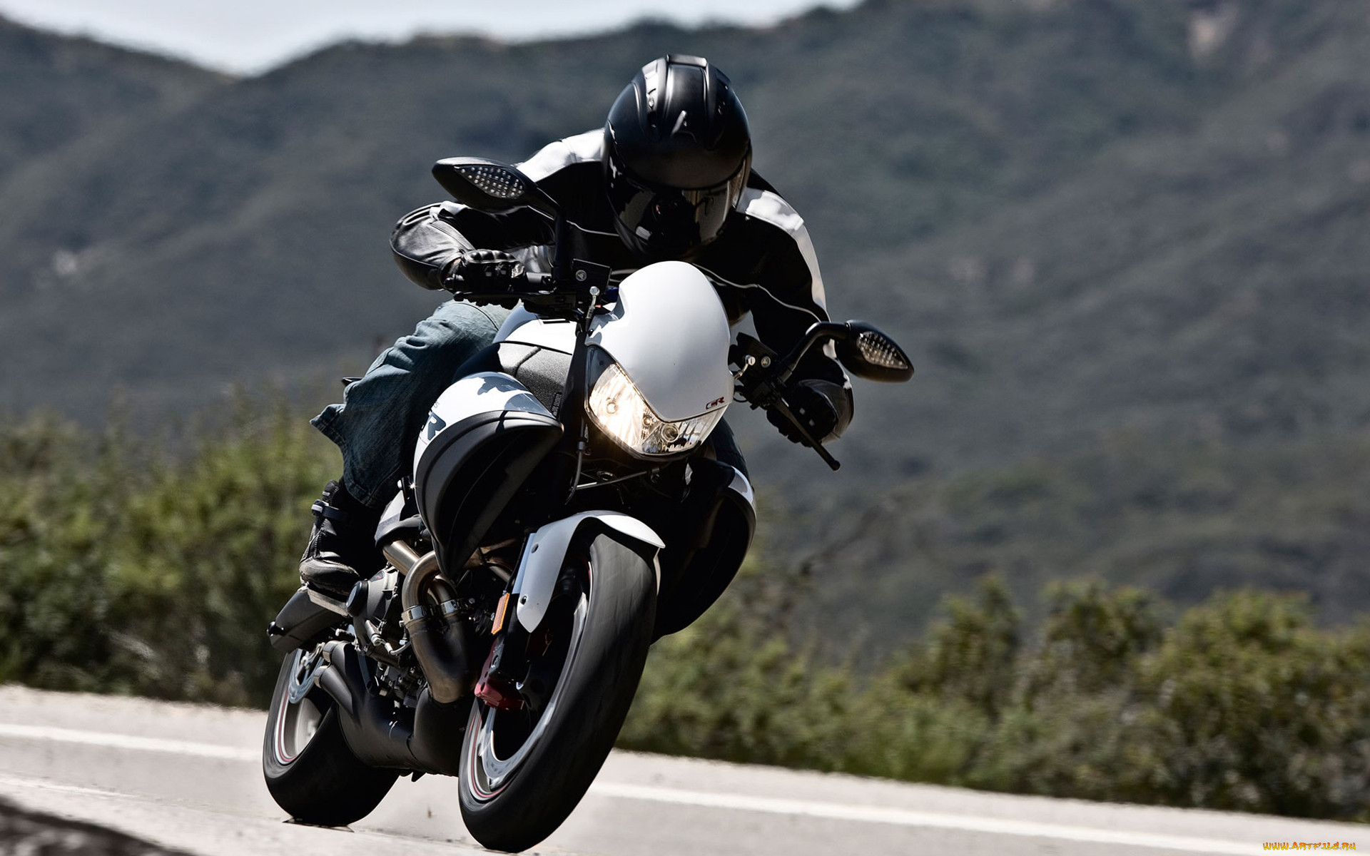 , buell